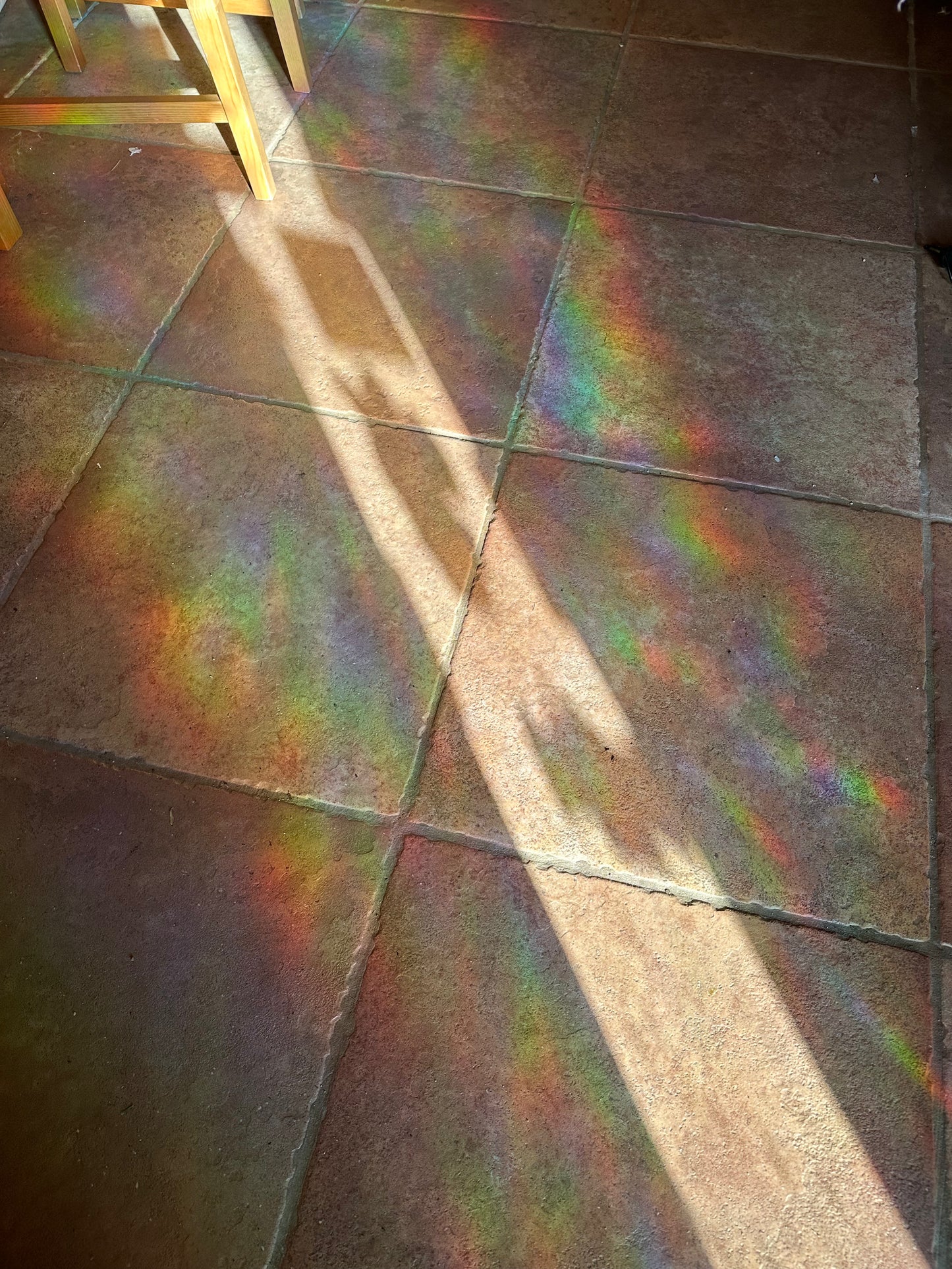 Plant Sun Catcher